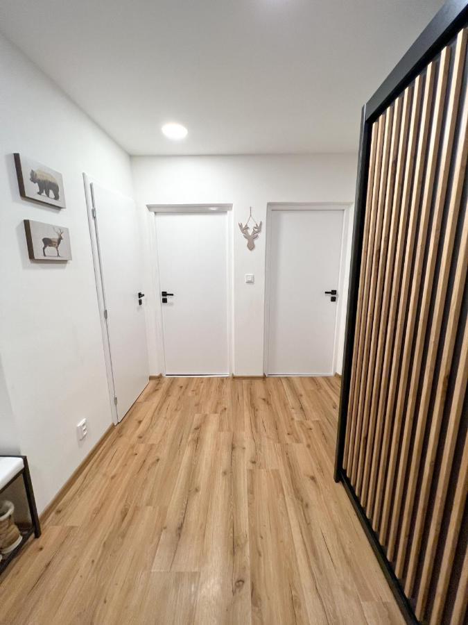Apartman Visek Jáchymov Exteriér fotografie