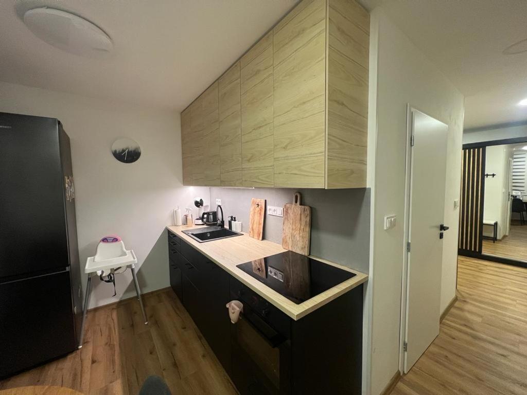 Apartman Visek Jáchymov Exteriér fotografie